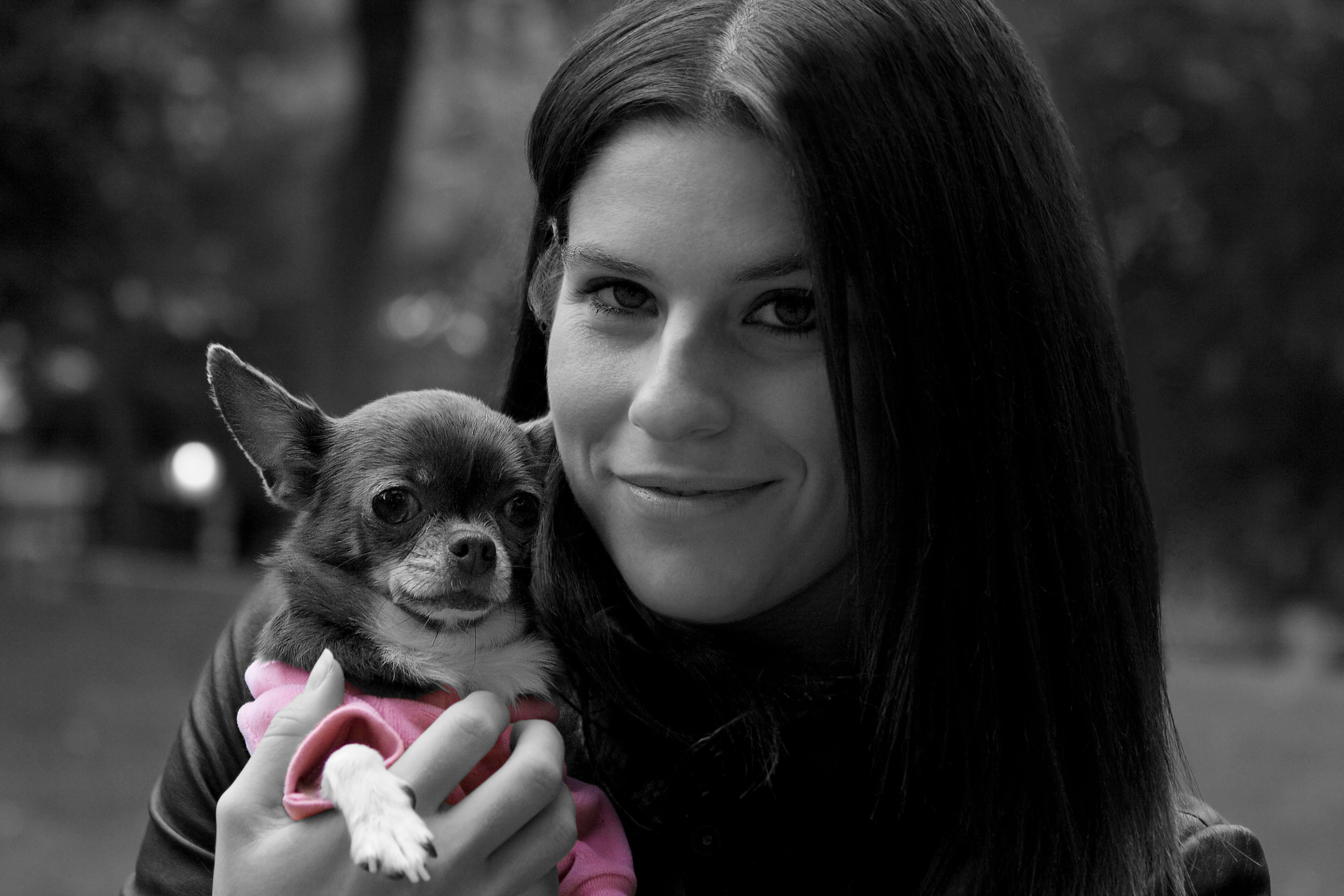 Pet photography Bronx NY - woman holding Chihuahua in pink sweater outdoors